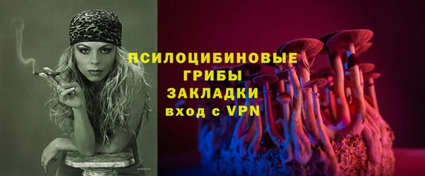 ГАЛЛЮЦИНОГЕННЫЕ ГРИБЫ Бугульма