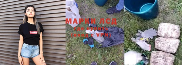 ГАЛЛЮЦИНОГЕННЫЕ ГРИБЫ Бугульма