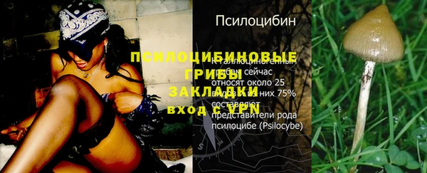 ГАЛЛЮЦИНОГЕННЫЕ ГРИБЫ Бугульма