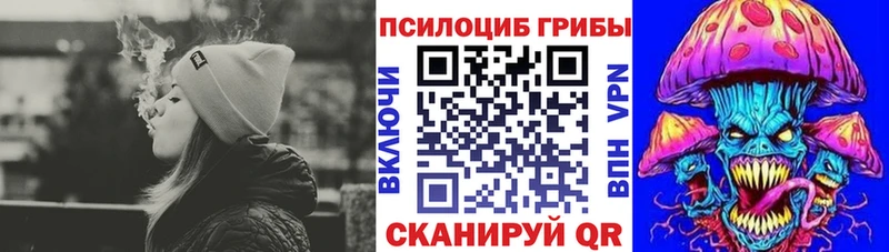 Купить закладки  Анжеро-Судженск  Псилоцибиновые грибы GOLDEN TEACHER 