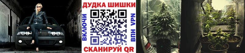 Шишки марихуана ГИДРОПОН  Купить закладки  Анжеро-Судженск 